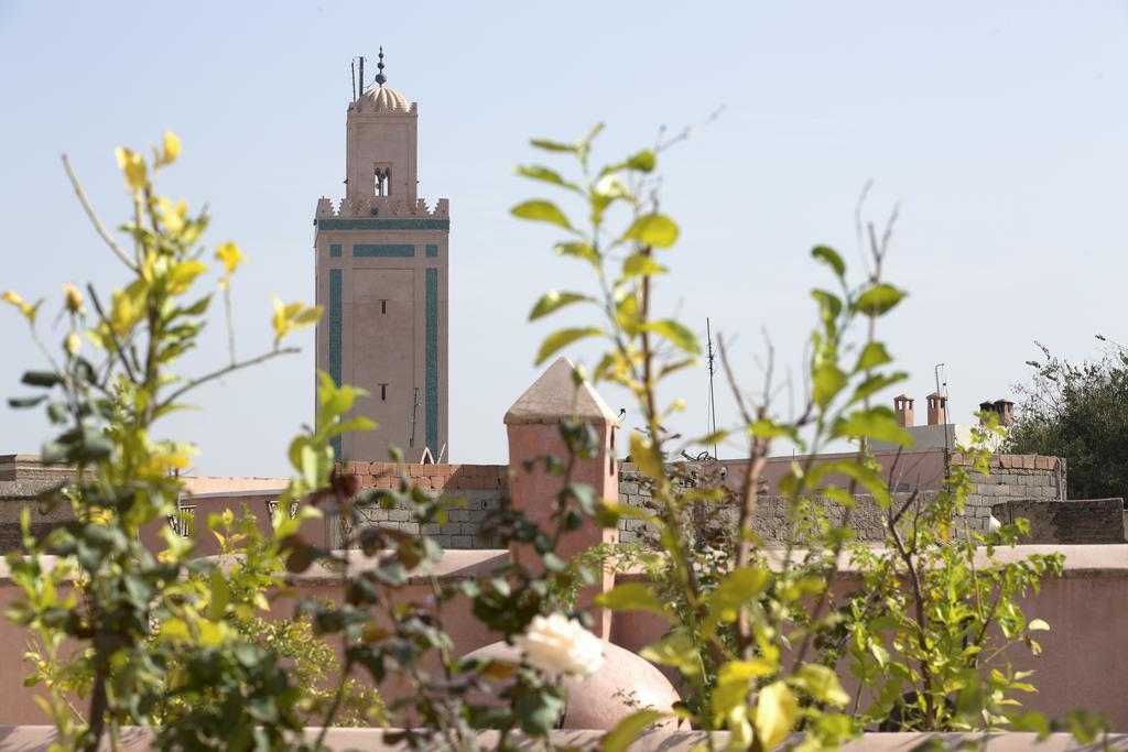 Assala Riad 4*